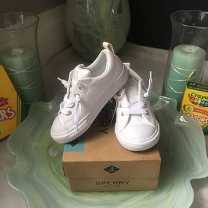 Chuck Taylor All Star Low Top Sneaker Toddler